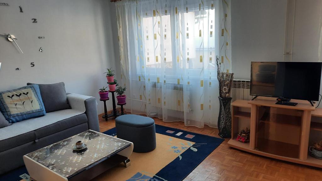 a living room with a couch and a tv at Apartman Radovic in Pale