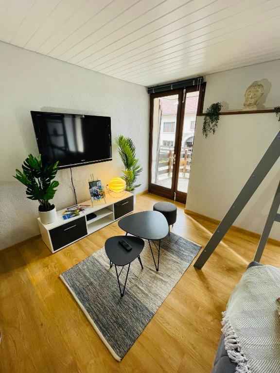 TV a/nebo společenská místnost v ubytování Au Doubs Village