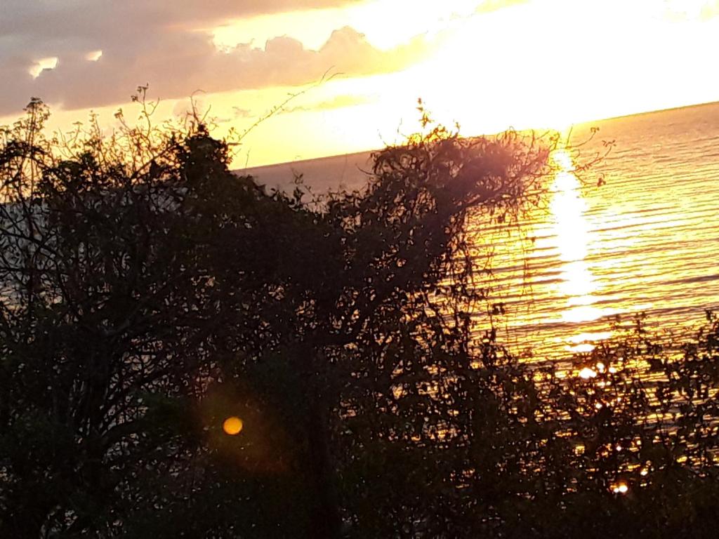 a sunset over the water with a tree in the foreground at MG beach house in Tanga