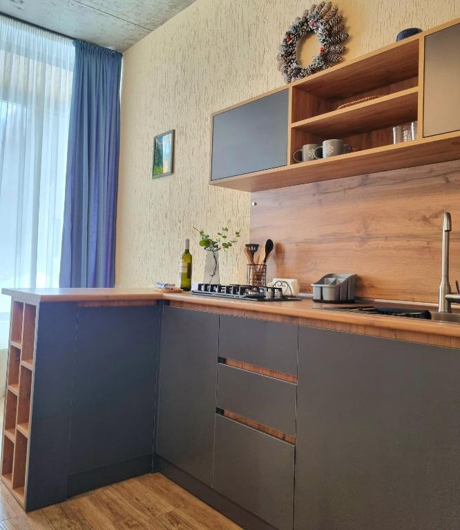 Kuchyň nebo kuchyňský kout v ubytování Greenfield Bakuriani
