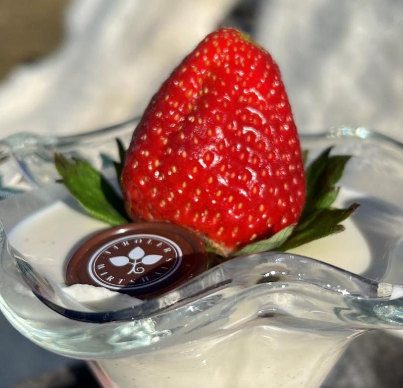 Hotel Restaurant Grünwalderhof - Resim 32