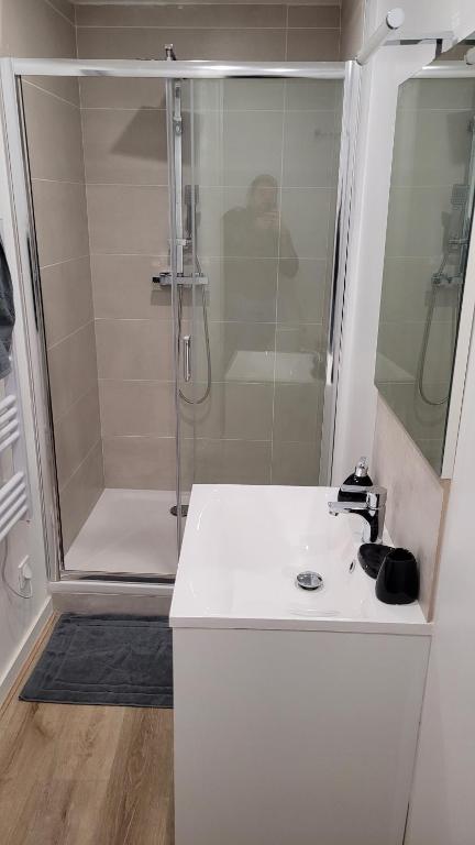 a white bathroom with a shower and a sink at Studio cosy Saint-Étienne centre ville in Saint-Étienne