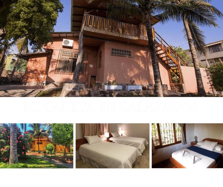 dos fotos de una casa con una cama y una palmera en Mi caleta en Galápagos, en Puerto Ayora