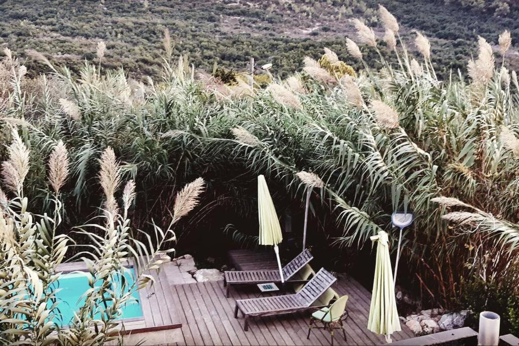 a deck with chairs and an umbrella next to a pool at עין הוד בית בטבע עם בריכה שקט נוף מדהים להר ואדי והים in Ein Hod
