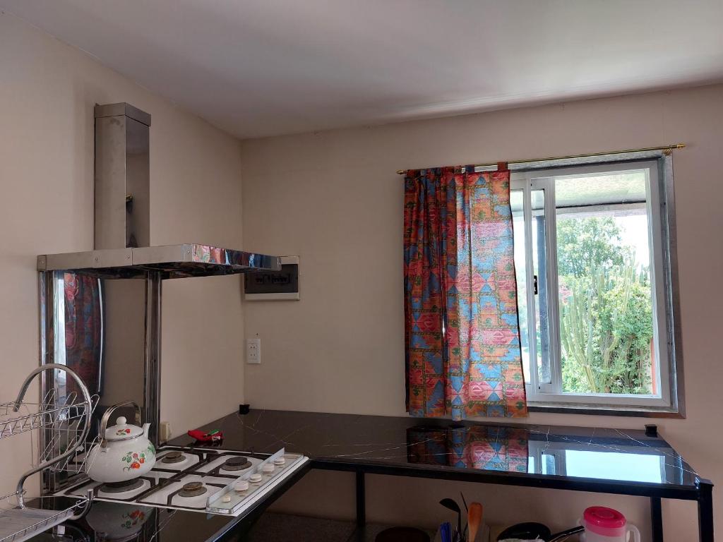 Departamento EcoSolar