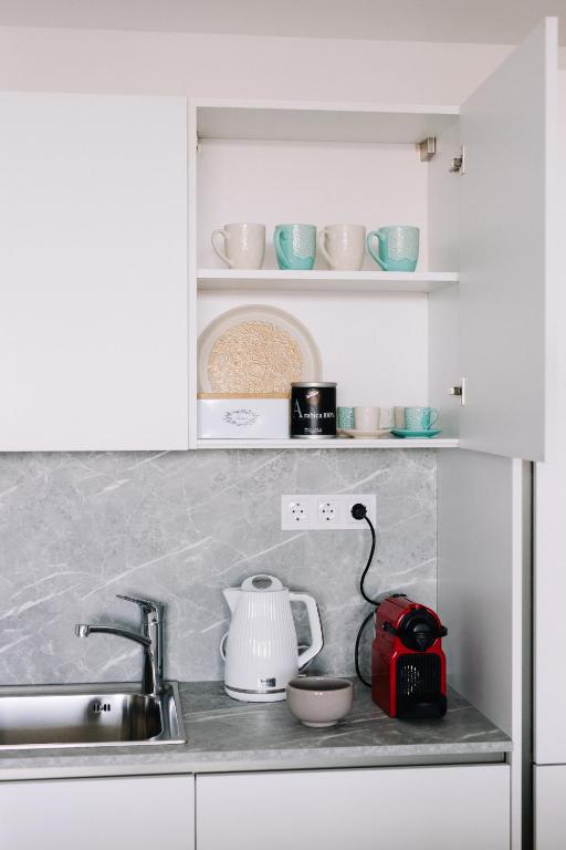Kuchyň nebo kuchyňský kout v ubytování Design Apartman - Free parking