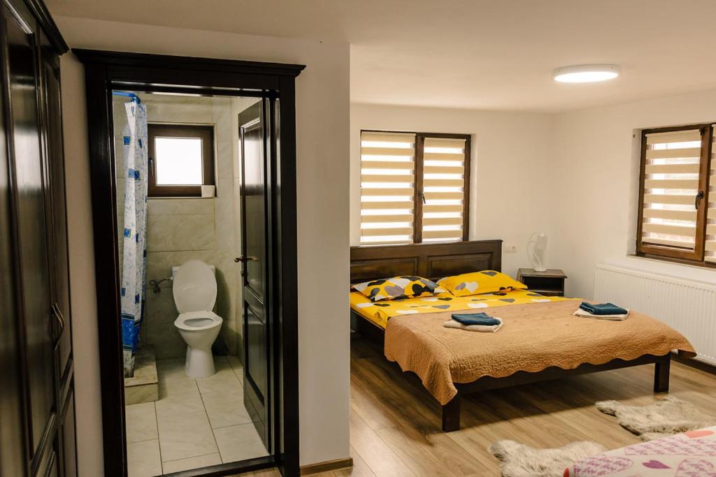 - une chambre avec un lit et une salle de bains avec des toilettes dans l'établissement Casa de vacanță Perla Colibitei, à Colibiţa