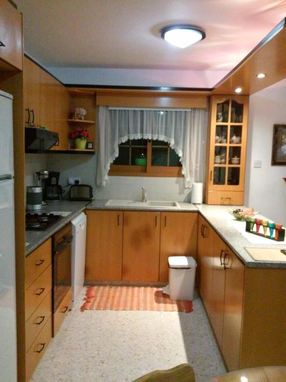 Kuchyň nebo kuchyňský kout v ubytování Zena Holiday Villa