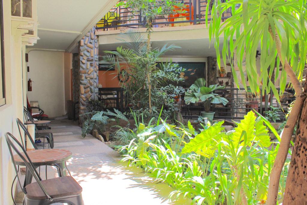 Balaibinda Lodge 5
