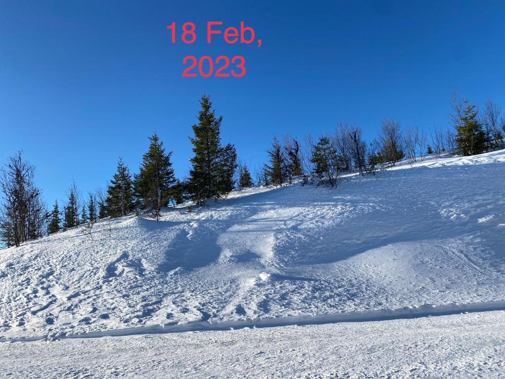 Perfect moutain getaway! Beautiful Apartment at Skagahøgdi with Panoramic View v zimě
