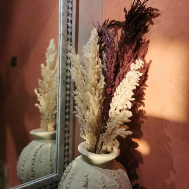 Foto sihtkohas Taghazout asuva majutusasutuse TEDDY PIRATE - Coliving galeriist