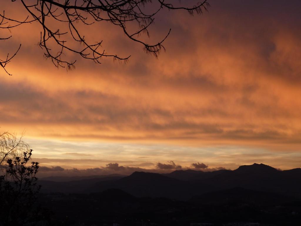 Hotel Leku Eder - Resim 42