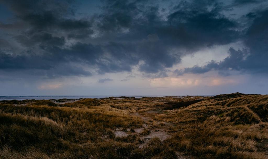 a cloudy sky over a grassy field with the ocean at Seaside 43 in Sankt Peter-Ording