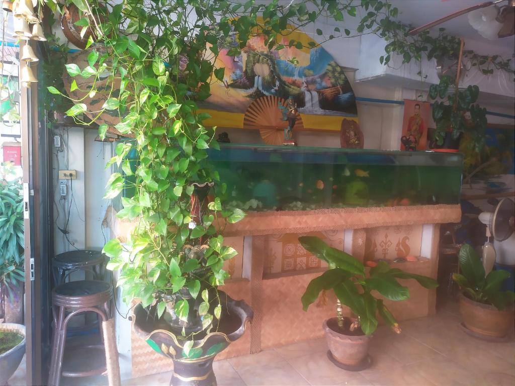 SV. HOUSE - Resim 16