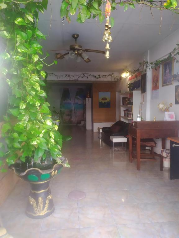 SV. HOUSE - Resim 17