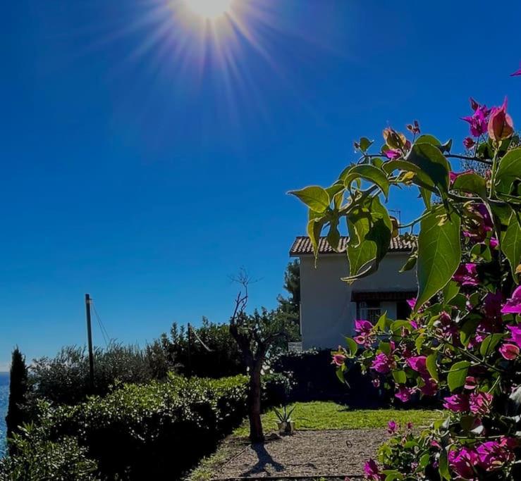 Villa panoramica con giardino, Alassio – Prezzi aggiornati per il 2023