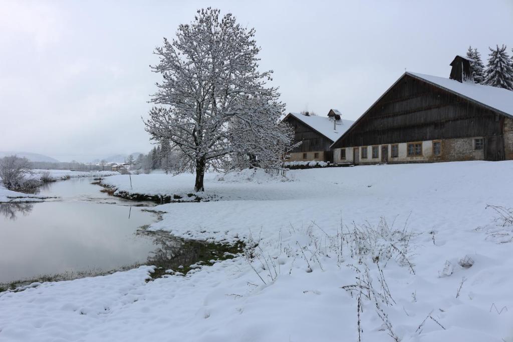 L'arbre à chapeaux v zimě