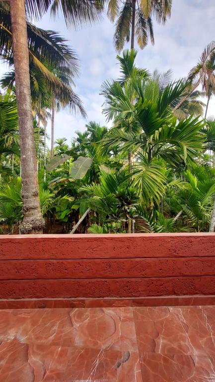 Zahrada ubytování Soham Beach Resort, Diveagar