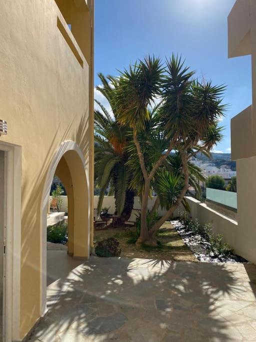 Fotografie z fotogalerie ubytování The Palm Apartment Karpathos v destinaci Karpathos