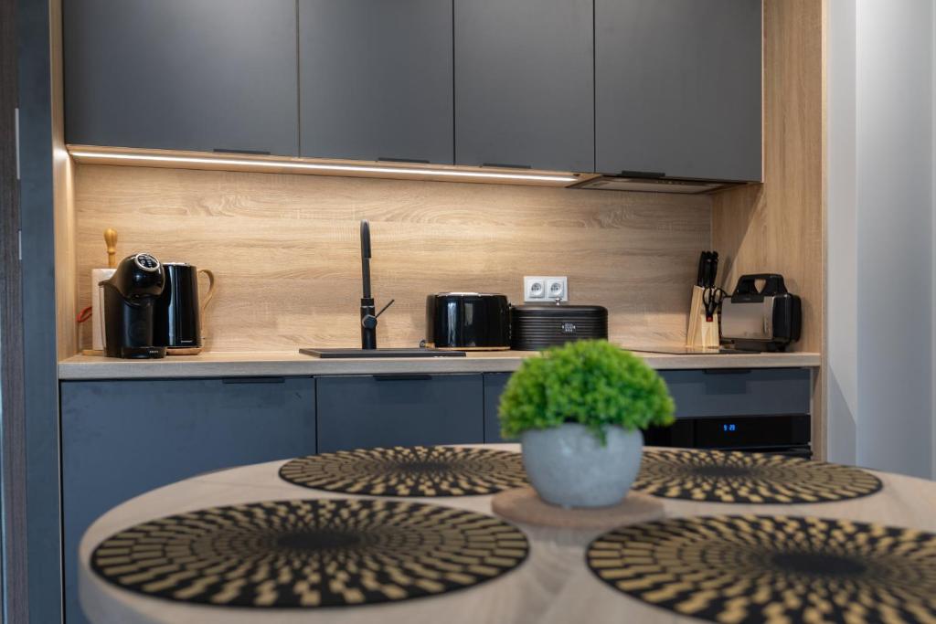 Kuchyňa alebo kuchynka v ubytovaní Stone Hill Apartament Wellness z basenem jakuzi saunami prywatnym garażem i rowerami w cenie