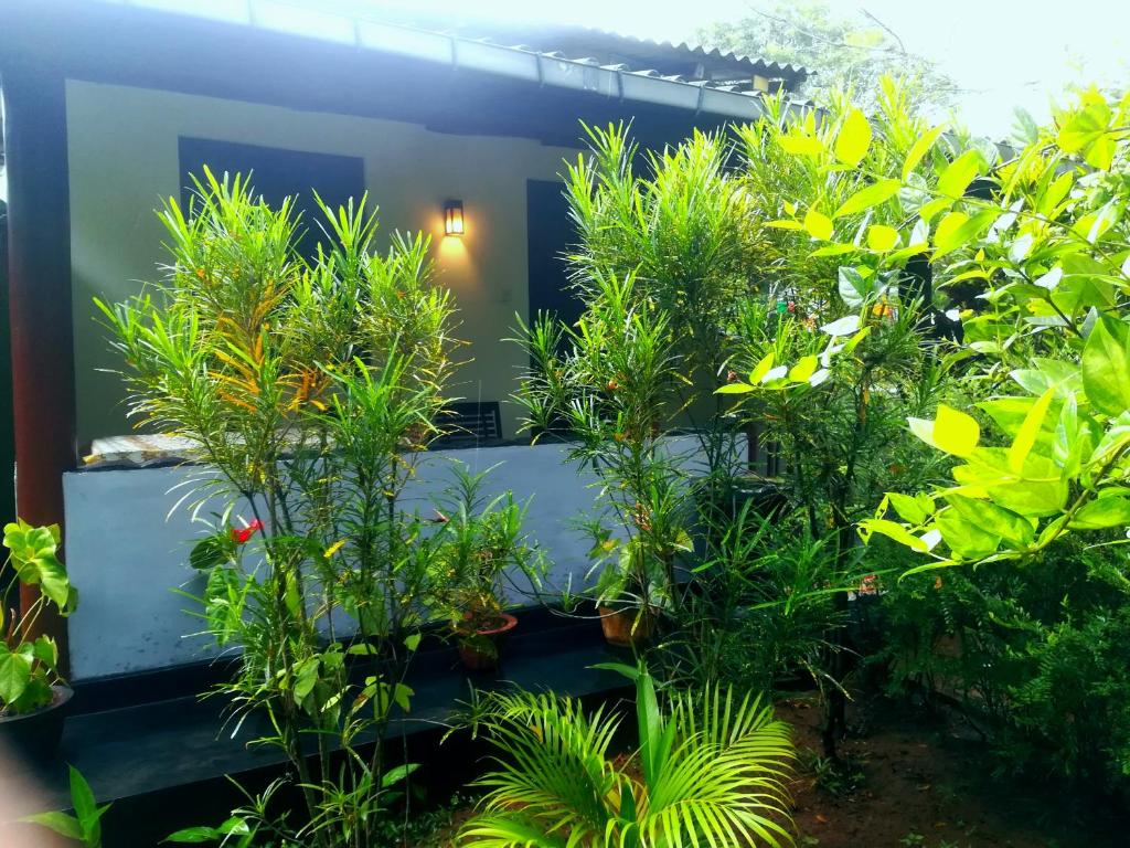 Zahrada ubytování Lakmal Homestay ,10 minutes to Sigiriya Rock