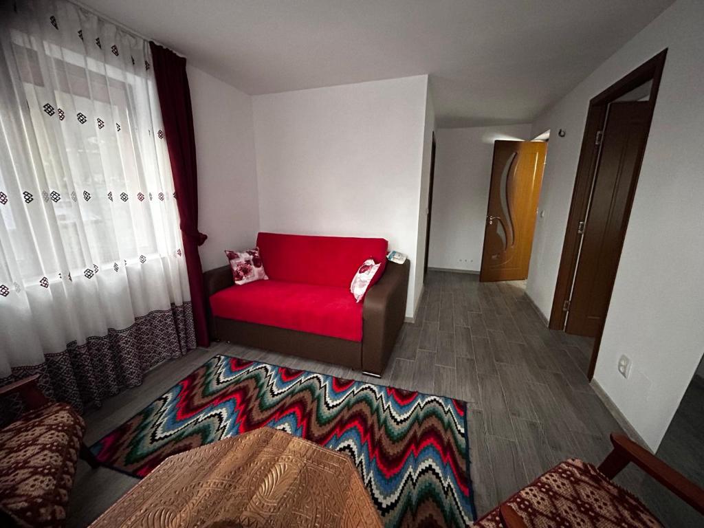 a living room with a red chair and a rug at Casa Camelia in Nehoiu