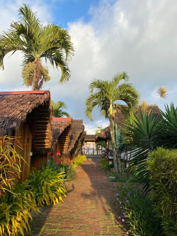 un camino entre dos casas con palmeras en Zutalu - Playa Sur en Puerto López