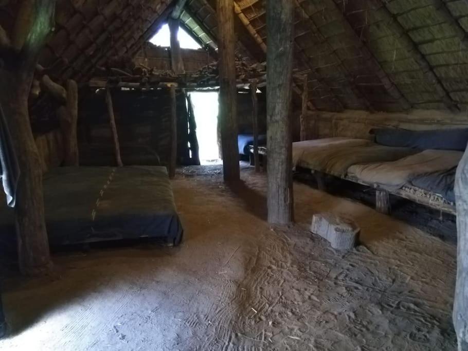 a room with three beds in a wooden house at Uniek overnachten in de prehistorie in Lelystad