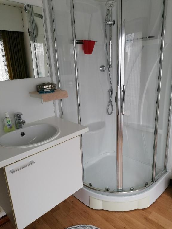 a bathroom with a shower and a sink at Logies Lily in Oudenburg