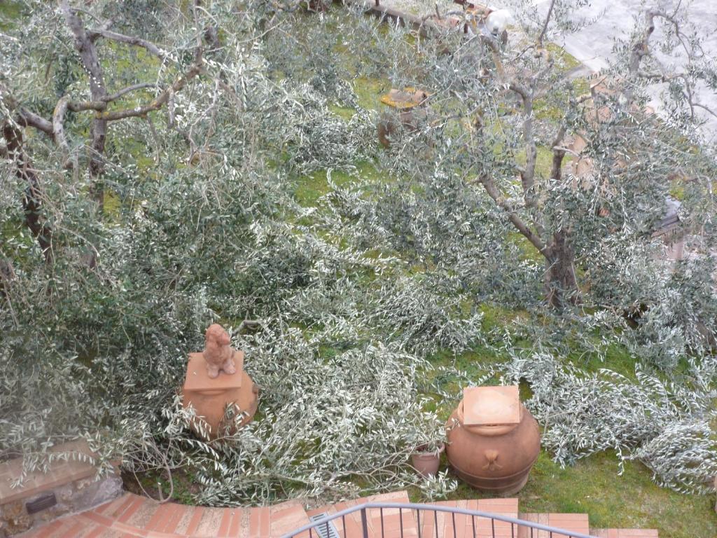 Zahrada ubytování B&B I Coppi