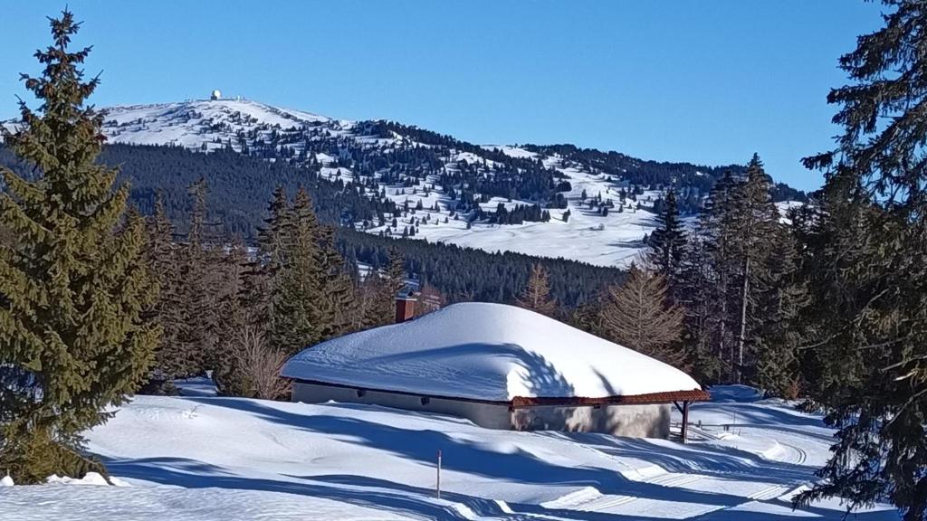 Le Repaire du Loup blanc v zime