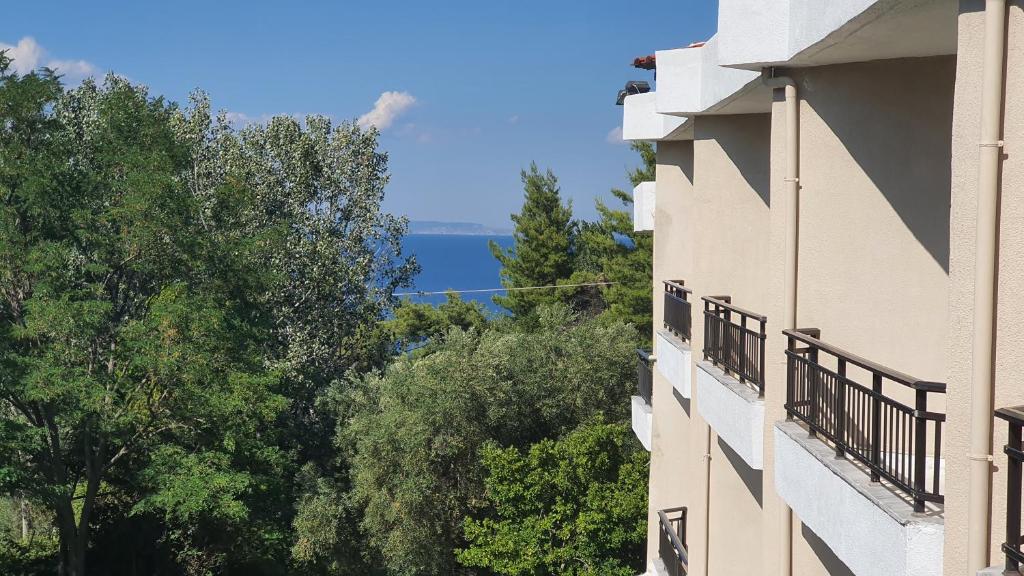 Příroda nedaleko hotelu