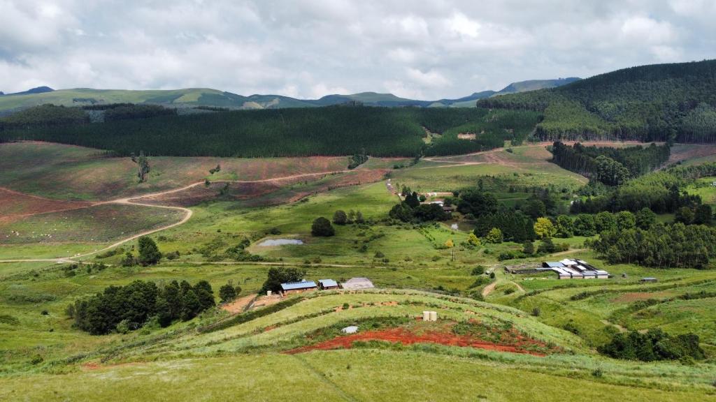 Serendipity Guest Farm Byrne, Byrne (updated prices 2024)