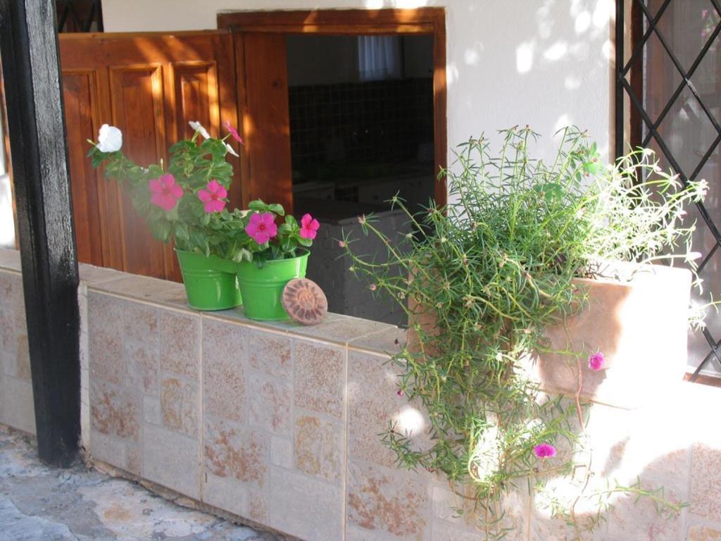 A garden outside Pasha Apart Hotel