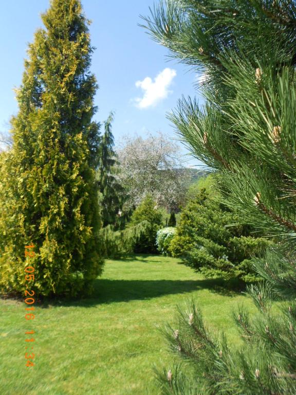 Vonkajšia záhrada v ubytovaní Agroturystyka Zielony Ogród