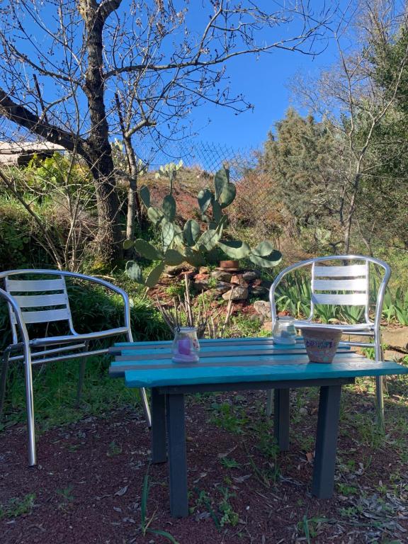 una mesa de picnic con 2 sillas y un cactus en Maison de village authentique, en Octon