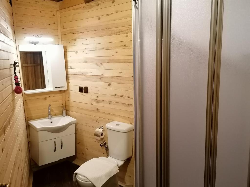 Koupelna v ubytování Süllü Dağ Evi