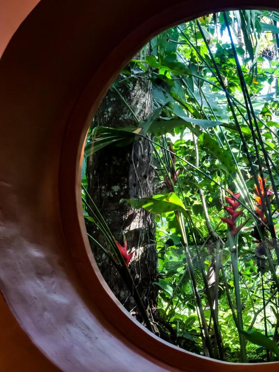 Un jardín fuera de Nowhere