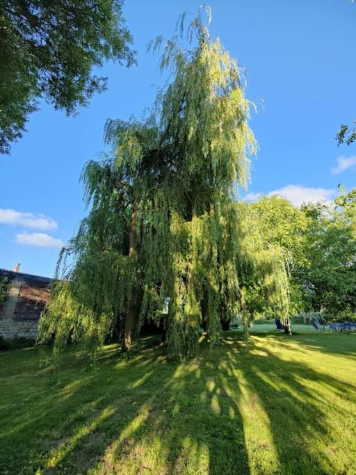 wierzba płacząca na polu trawy w obiekcie Chambres en maison d'hôtes Le Moulin d'Annepont w mieście Annepont