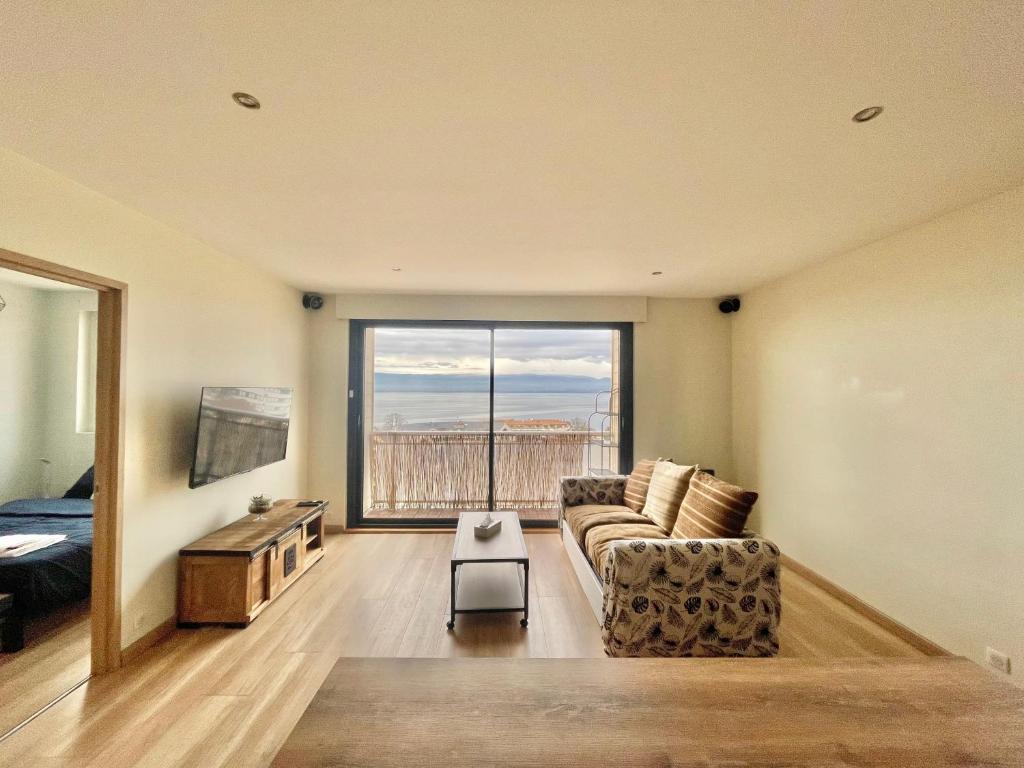 a living room with a couch and a large window at Le Turgot, proche thermes in Thonon-les-Bains