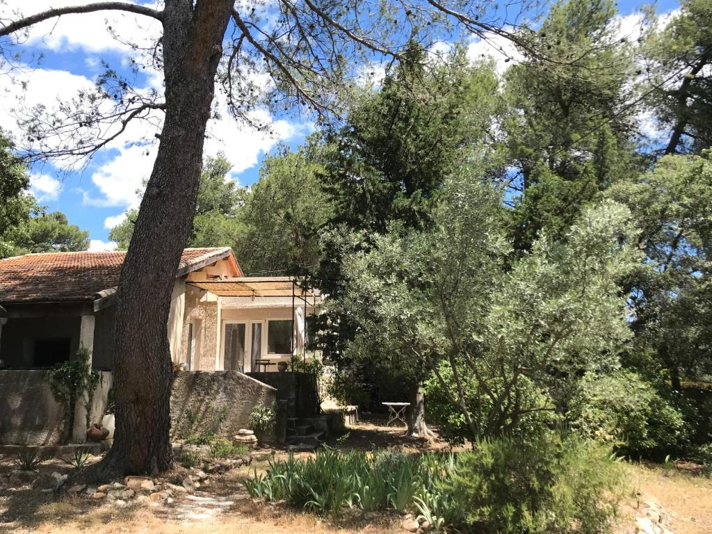 stary dom z drzewem w ogrodzie w obiekcie Loumaset-agréable petite maison-garrigues de Nîmes w mieście Nîmes