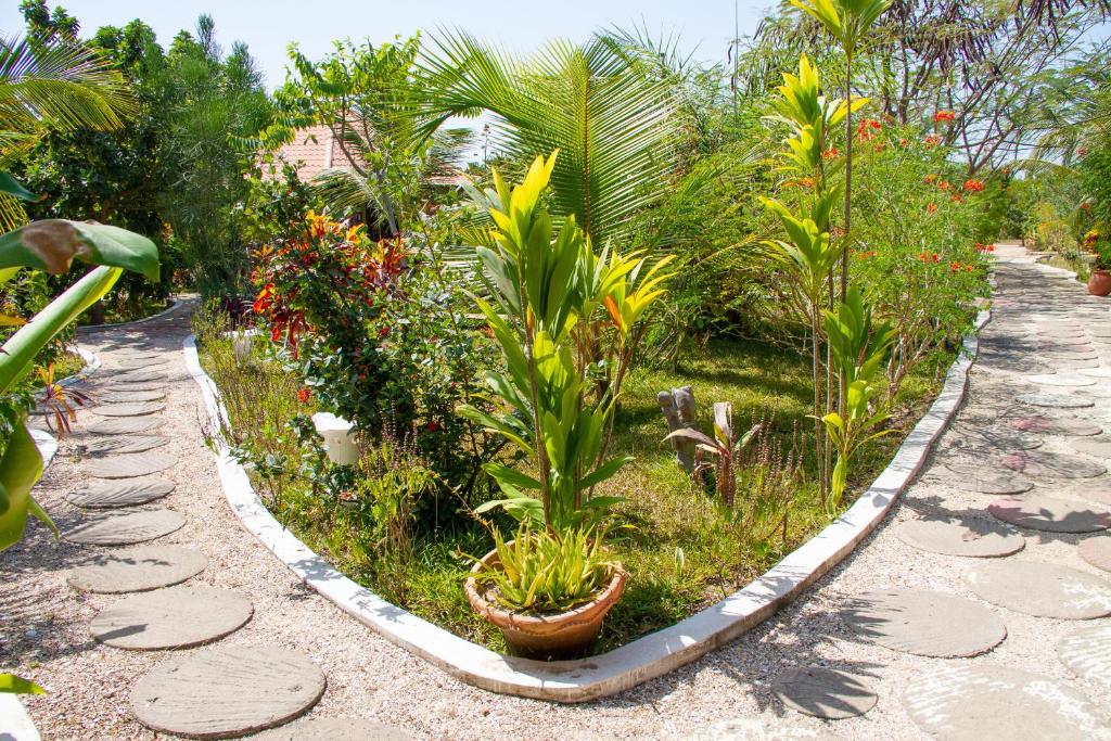 ogród z roślinami i kwiatami na ścieżce w obiekcie Mama Africa Art Residence & Art Center Gambia w mieście Tanji