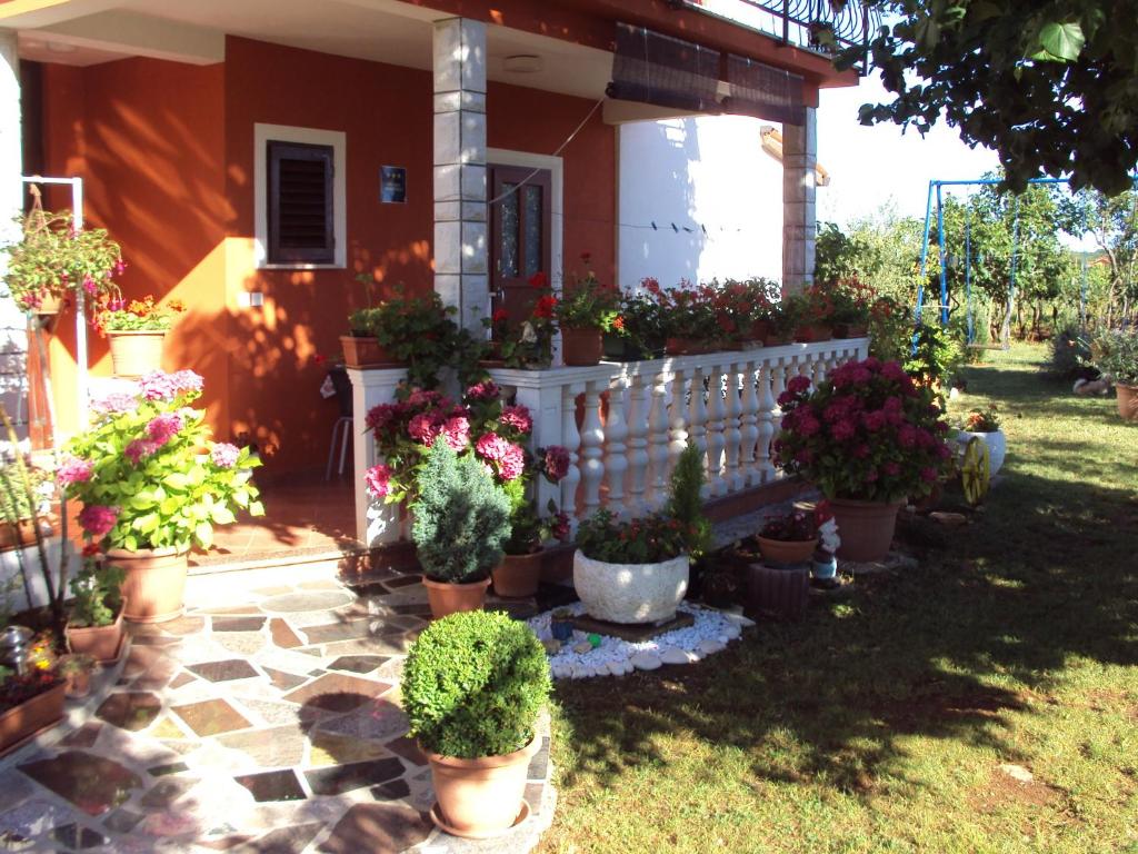 a bunch of potted plants in front of a house at Apartment Gogo in Umag