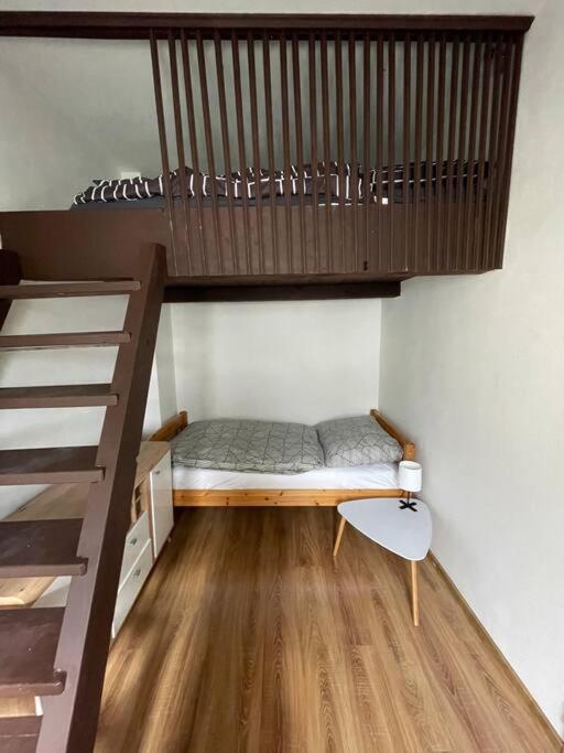 Fotografie z fotogalerie ubytování Francis Apartment - Lázeňské centrum v destinaci Karlovy Vary