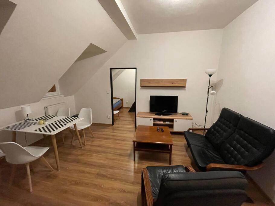 TV a/nebo společenská místnost v ubytování Francis Apartment - Lázeňské centrum