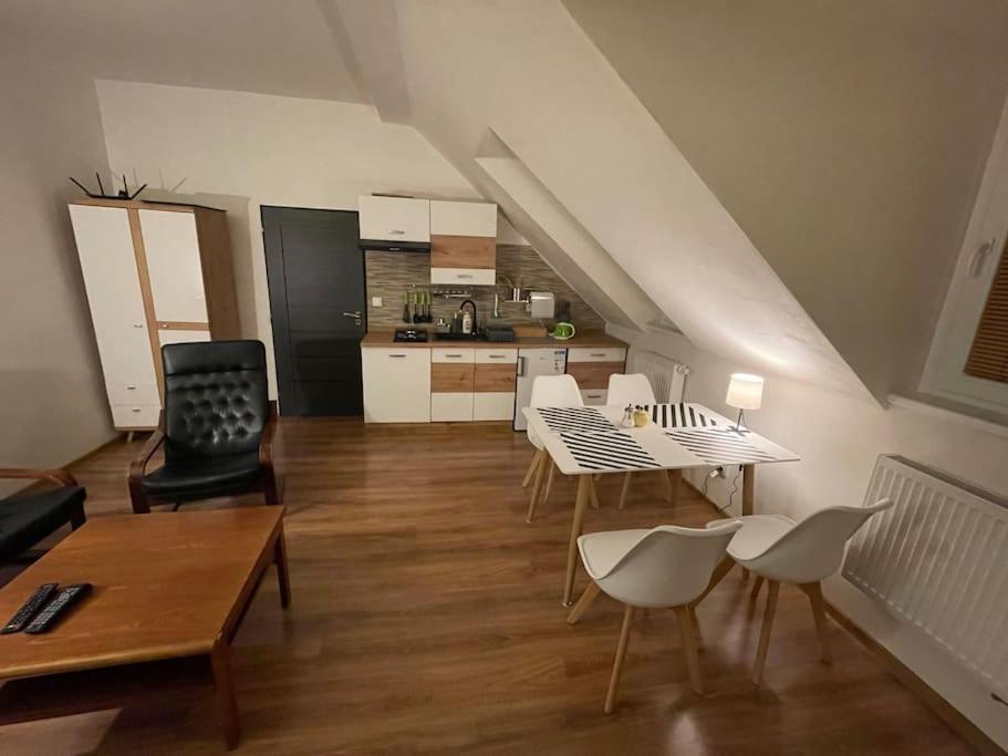 Kuchyň nebo kuchyňský kout v ubytování Francis Apartment - Lázeňské centrum