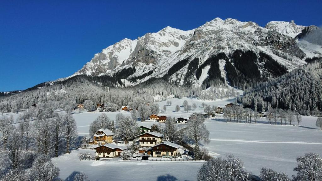Strasser´s Mountain Home v zime