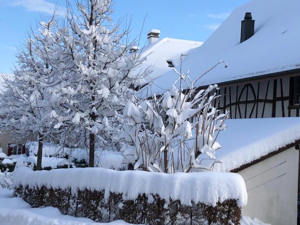Bed & Breakfast Gaetzi talvel