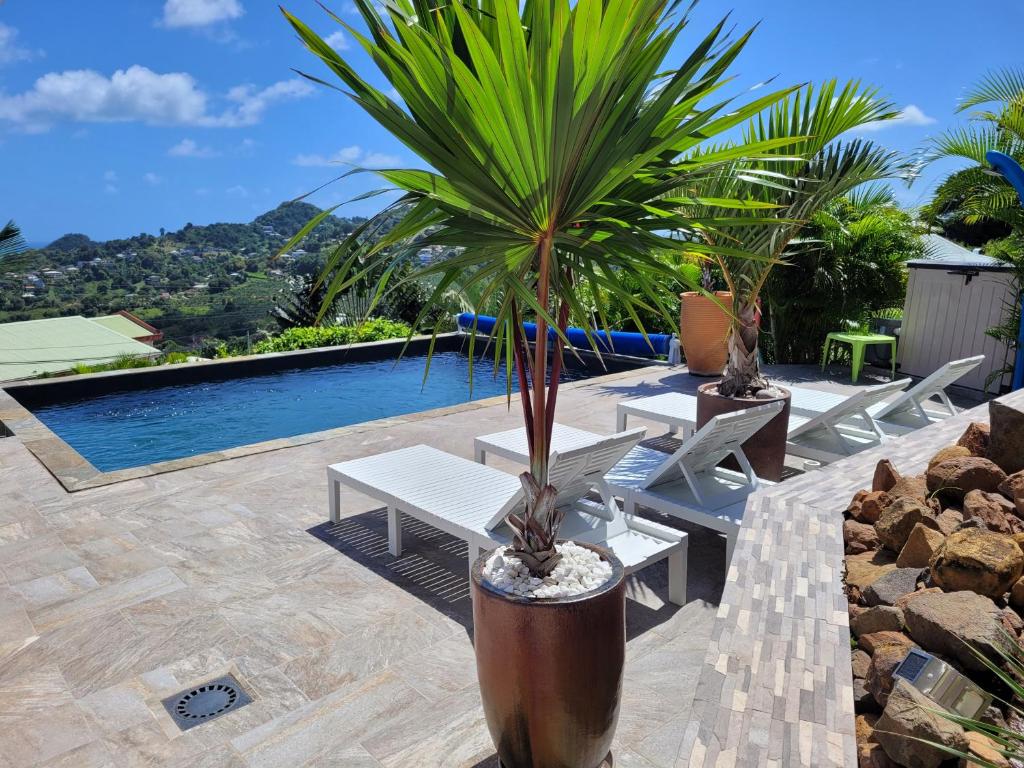 une terrasse avec des tables et des palmiers ainsi qu'une piscine dans l'établissement Bas de villa le rêve éveillé, à Le Robert