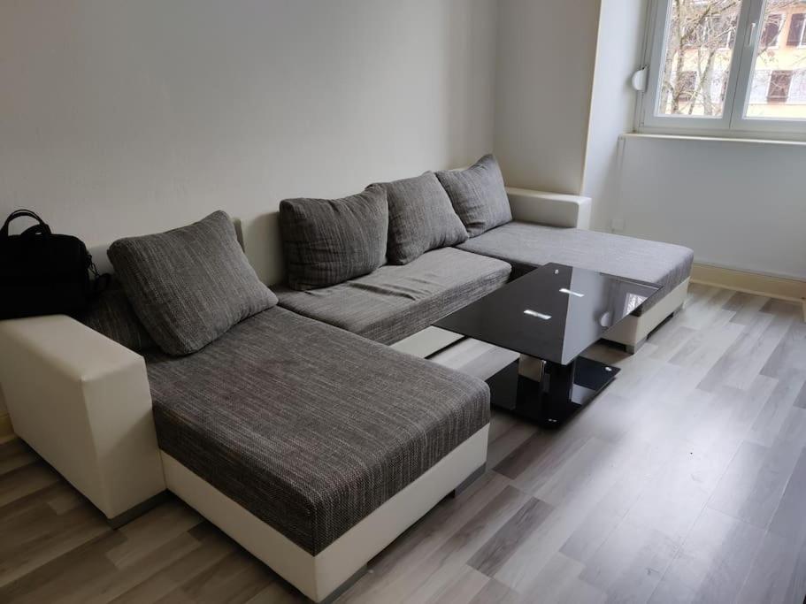 un salon avec un canapé et une table basse dans l'établissement Spacieux appartement proche centre - ancien NY, à Mulhouse